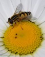 /album/fotogalerij/usb-stick-685-jpg/